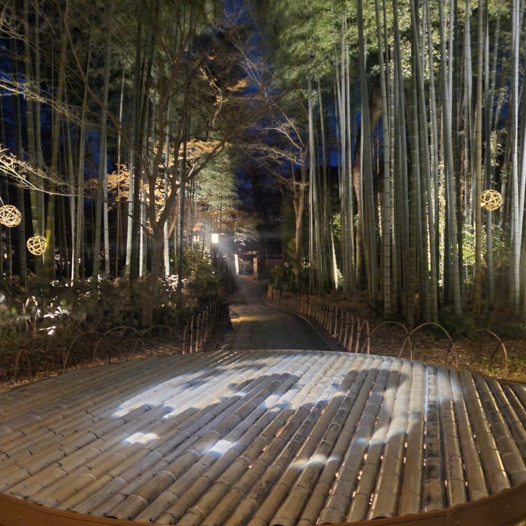修善寺の竹林 夜のライトアップ